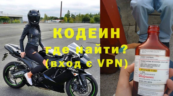 стаф Осинники