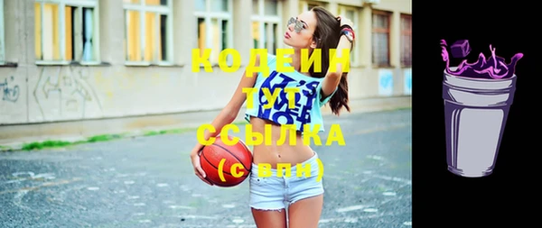 стаф Осинники
