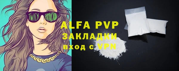 гашик Осташков