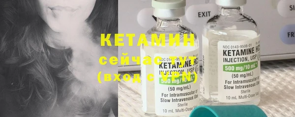 стаф Осинники