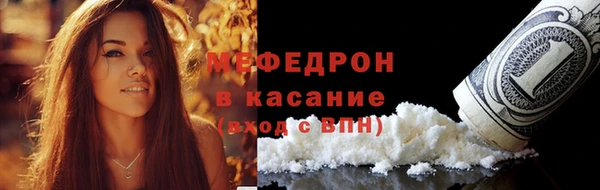 гашик Осташков