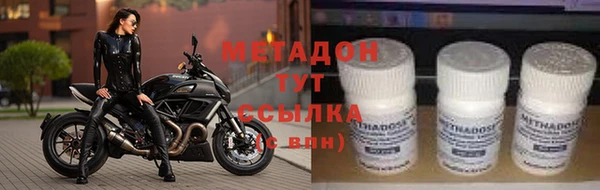 стаф Осинники