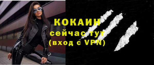 гашик Осташков