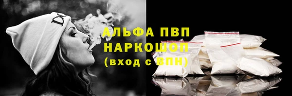 стаф Осинники