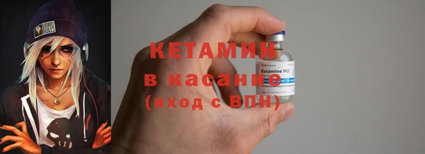 стаф Осинники