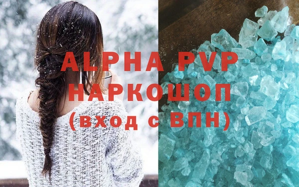 гашик Осташков