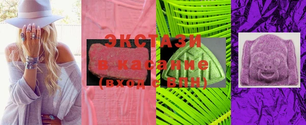 стаф Осинники