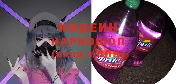 стаф Осинники