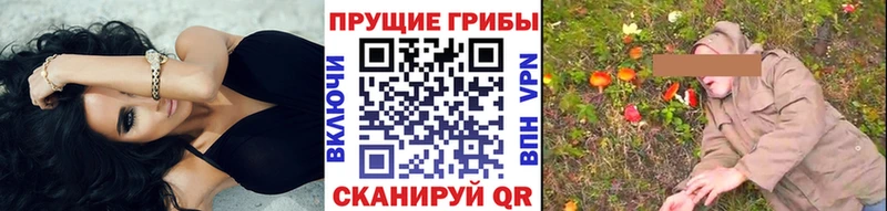 Галлюциногенные грибы Psilocybe  Аргун 