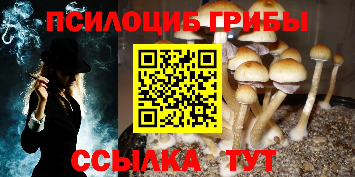 Галлюциногенные грибы MAGIC MUSHROOMS  Псилоцибиновые грибы Magic Shrooms  Аргун 