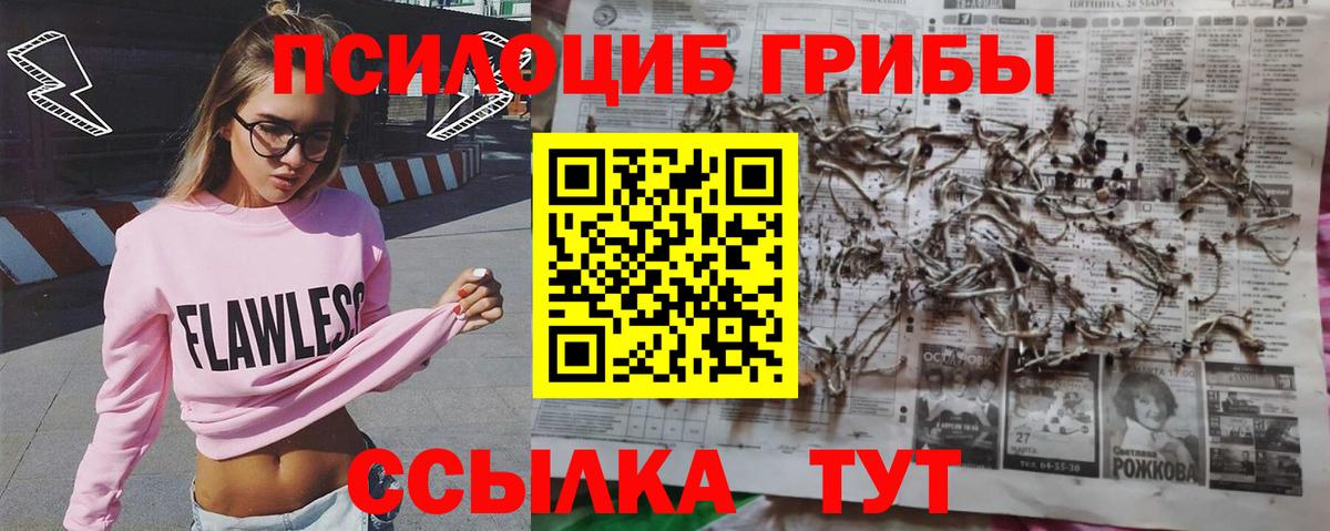 Псилоцибиновые грибы Magic Shrooms  Вход с VPN  Аргун 